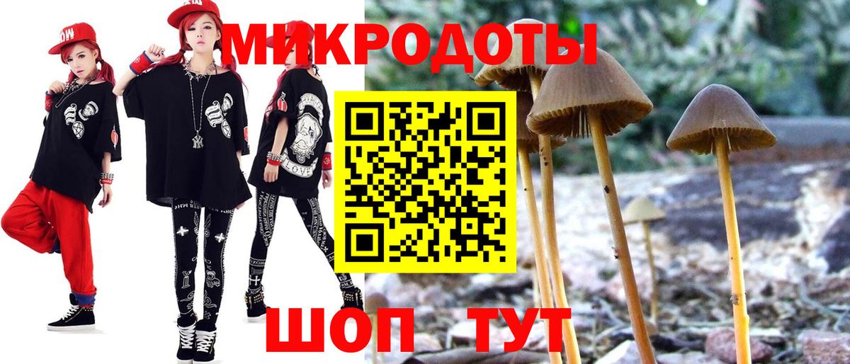 Псилоцибиновые грибы GOLDEN TEACHER  Вход с VPN  Галлюциногенные грибы MAGIC MUSHROOMS  Артёмовский 