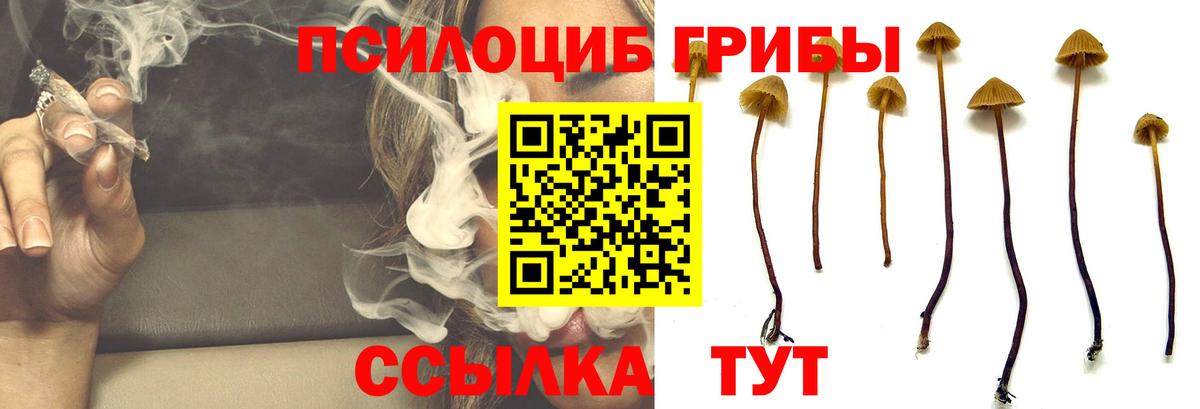 Галлюциногенные грибы ЛСД Артёмовский